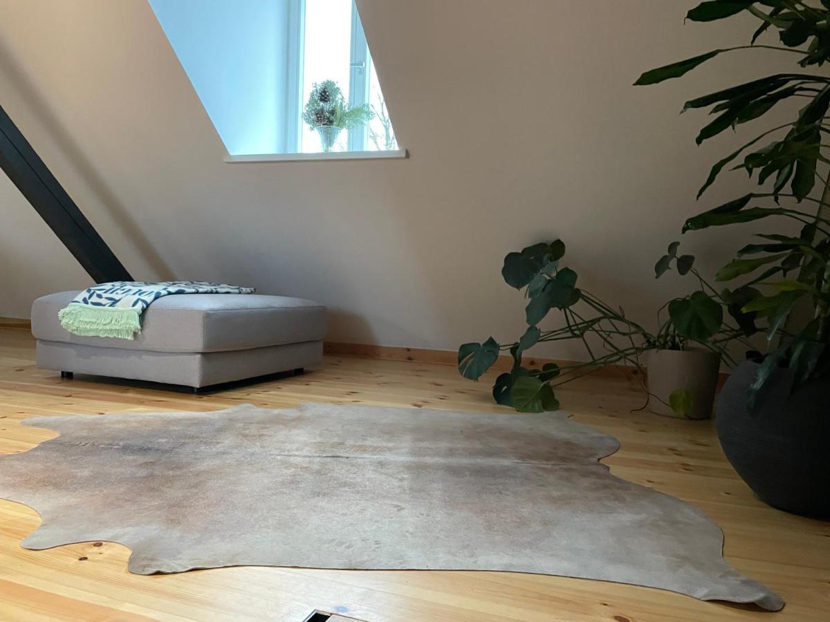 Voh Super Exklusives Loft, Zentral, Smart-Tv, Parkplatz Apartamento Vohenstrauss Exterior foto