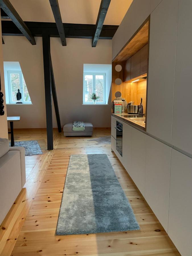 Voh Super Exklusives Loft, Zentral, Smart-Tv, Parkplatz Apartamento Vohenstrauss Exterior foto
